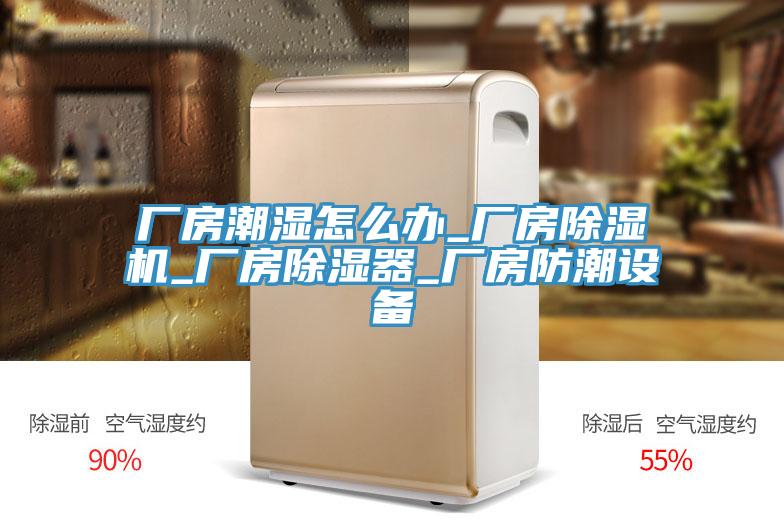 廠(chǎng)房潮濕怎么辦_廠(chǎng)房除濕機_廠(chǎng)房除濕器_廠(chǎng)房防潮設備