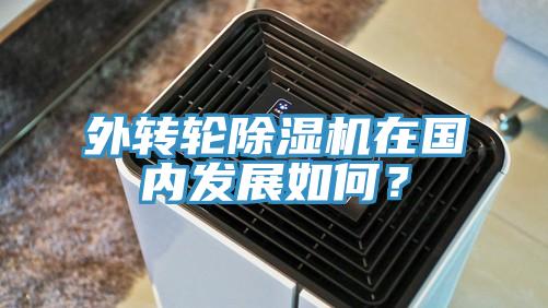 外轉輪除濕機在國內發(fā)展如何？