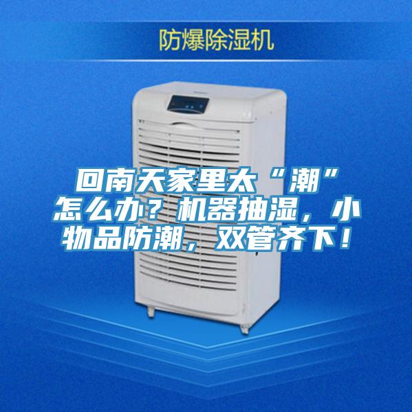 回南天家里太“潮”怎么辦？機器抽濕，小物品防潮，雙管齊下！