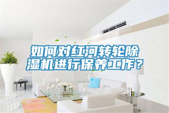 如何對紅河轉輪除濕機進(jìn)行保養工作？