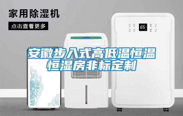 安徽步入式高低溫恒溫恒濕房非標定制