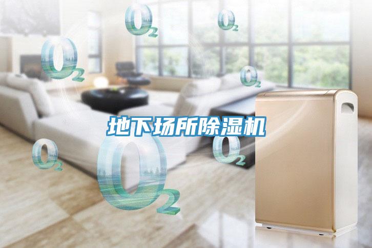 地下場(chǎng)所除濕機