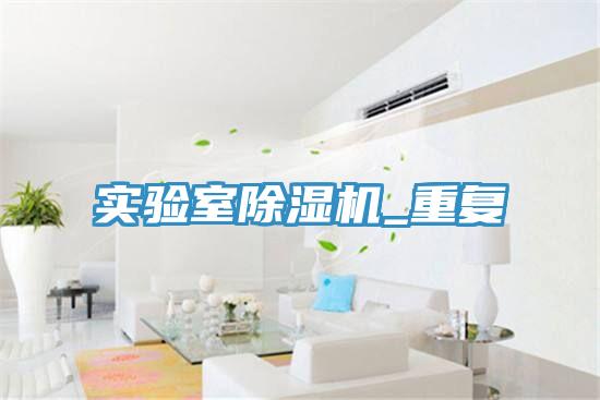 實(shí)驗室除濕機_重復