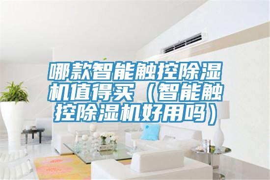 哪款智能觸控除濕機值得買(mǎi)（智能觸控除濕機好用嗎）
