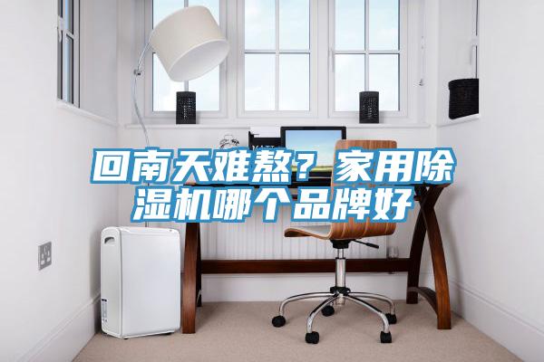 回南天難熬？家用除濕機哪個(gè)品牌好
