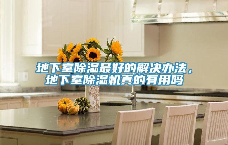 地下室除濕最好的解決辦法，地下室除濕機真的有用嗎
