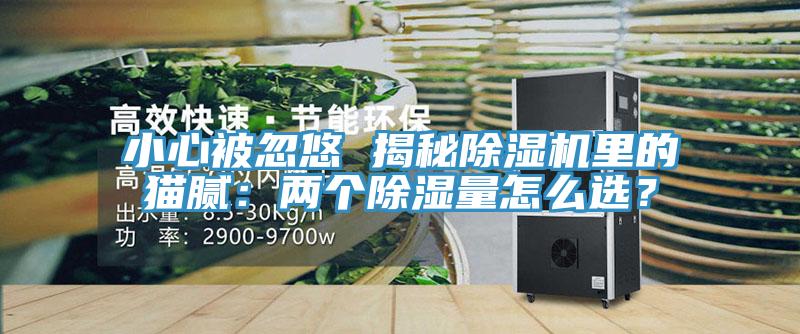 小心被忽悠 揭秘除濕機里的貓膩：兩個(gè)除濕量怎么選？