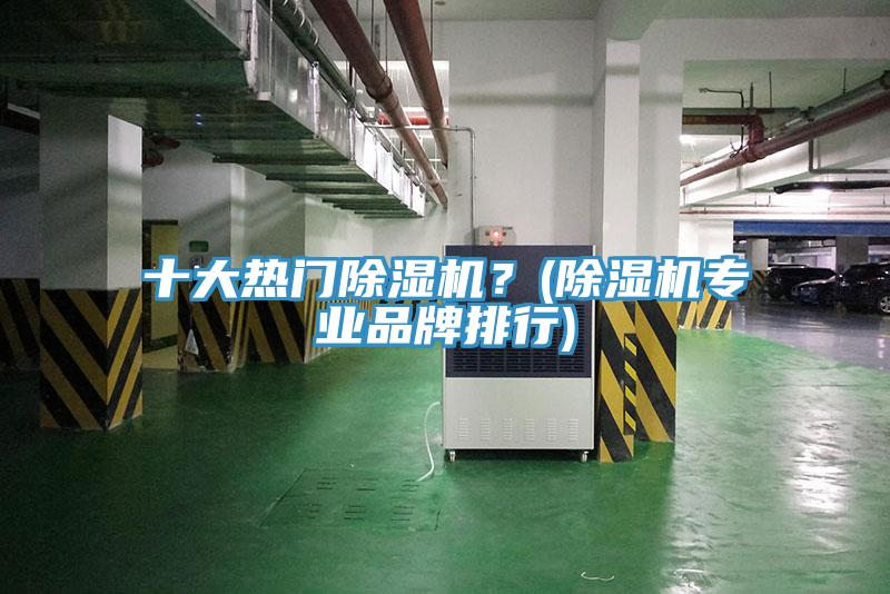 十大熱門(mén)除濕機？(除濕機專(zhuān)業(yè)品牌排行)