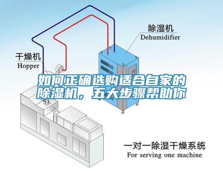如何正確選購適合自家的除濕機，五大步驟幫助你
