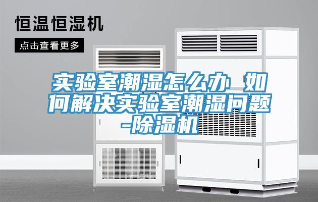 實(shí)驗室潮濕怎么辦 如何解決實(shí)驗室潮濕問(wèn)題-除濕機