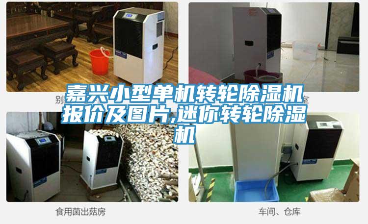 嘉興小型單機轉輪除濕機報價(jià)及圖片,迷你轉輪除濕機