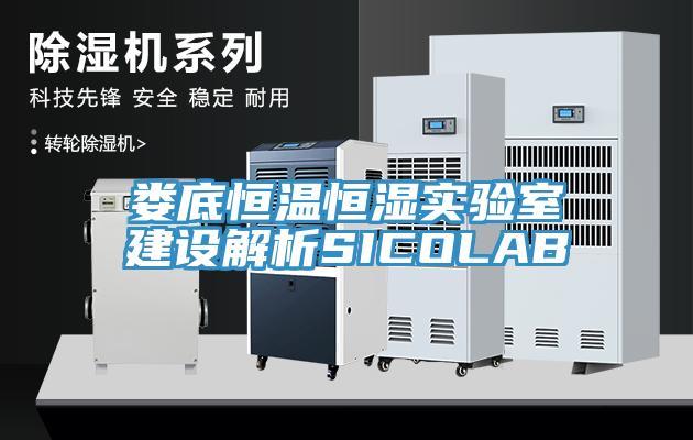 婁底恒溫恒濕實(shí)驗室建設解析SICOLAB