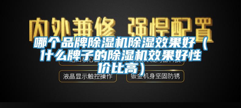 哪個(gè)品牌除濕機除濕效果好（什么牌子的除濕機效果好性?xún)r(jià)比高）