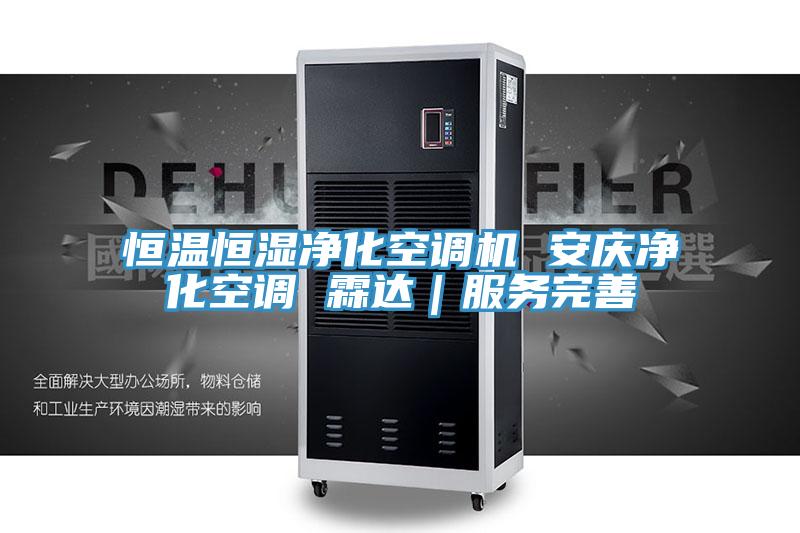 恒溫恒濕凈化空調機 安慶凈化空調 霖達｜服務(wù)完善