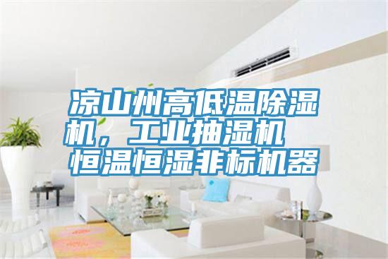 涼山州高低溫除濕機，工業(yè)抽濕機  恒溫恒濕非標機器