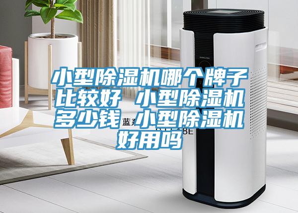 小型除濕機哪個(gè)牌子比較好 小型除濕機多少錢(qián) 小型除濕機好用嗎