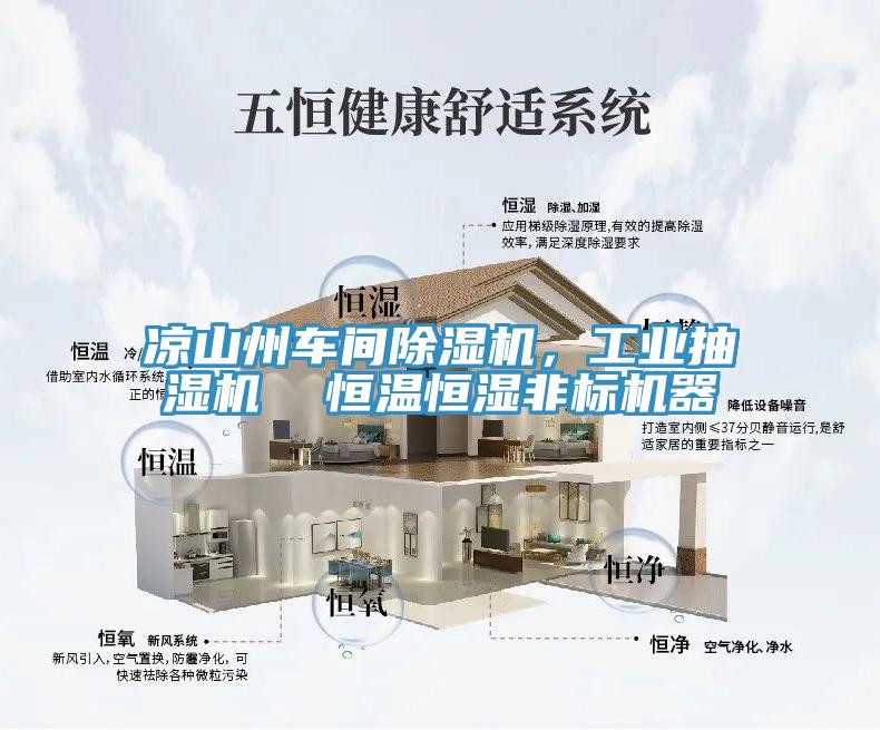 涼山州車(chē)間除濕機，工業(yè)抽濕機  恒溫恒濕非標機器