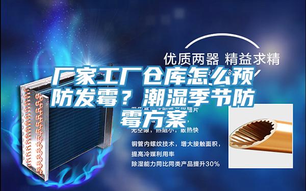 廠(chǎng)家工廠(chǎng)倉庫怎么預防發(fā)霉？潮濕季節防霉方案