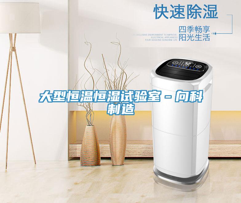大型恒溫恒濕試驗室－向科制造