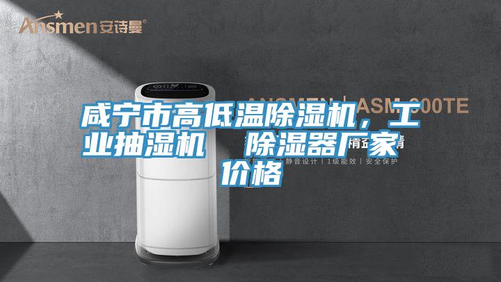 咸寧市高低溫除濕機，工業(yè)抽濕機  除濕器廠(chǎng)家 價(jià)格
