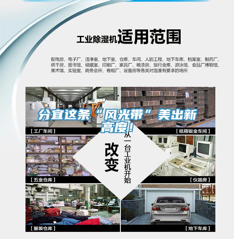 分宜這條“風(fēng)光帶”美出新高度！