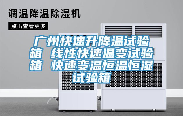 廣州快速升降溫試驗箱 線(xiàn)性快速溫變試驗箱 快速變溫恒溫恒濕試驗箱