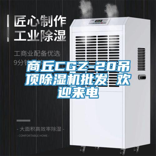 商丘CGZ-20吊頂除濕機批發(fā) 歡迎來(lái)電