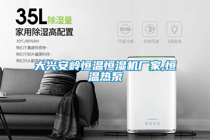 大興安嶺恒溫恒濕機廠(chǎng)家,恒溫熱泵