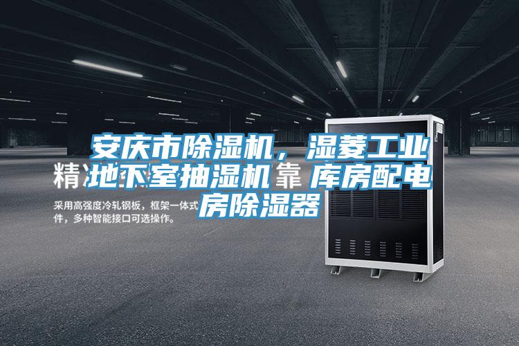 安慶市除濕機，濕菱工業(yè)地下室抽濕機  庫房配電房除濕器