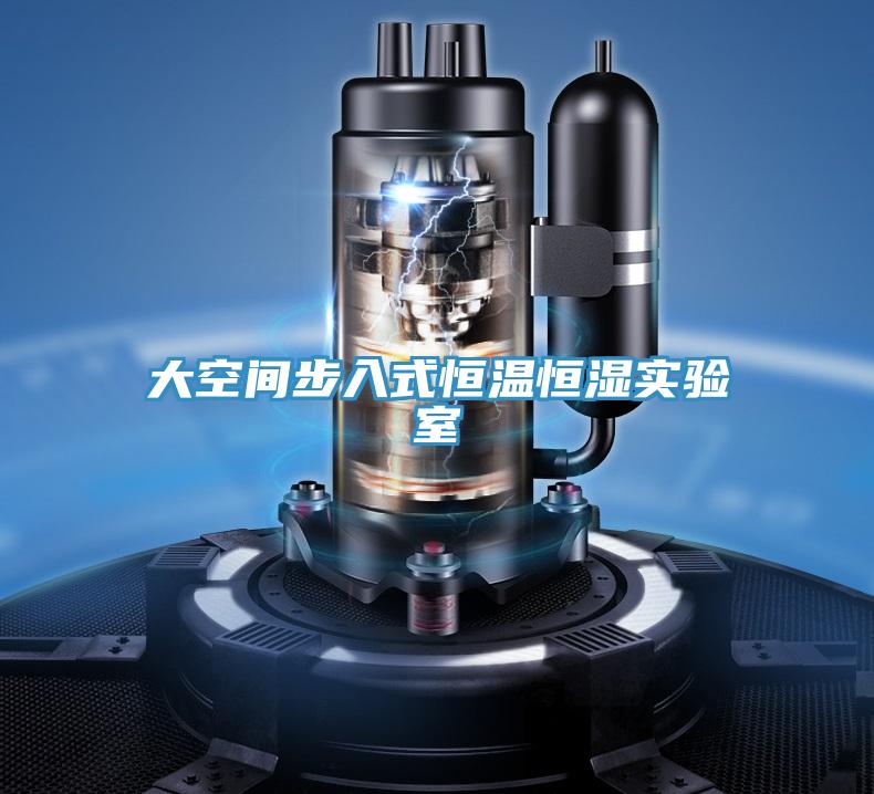 大空間步入式恒溫恒濕實(shí)驗室