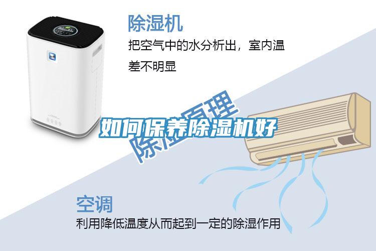 如何保養除濕機好