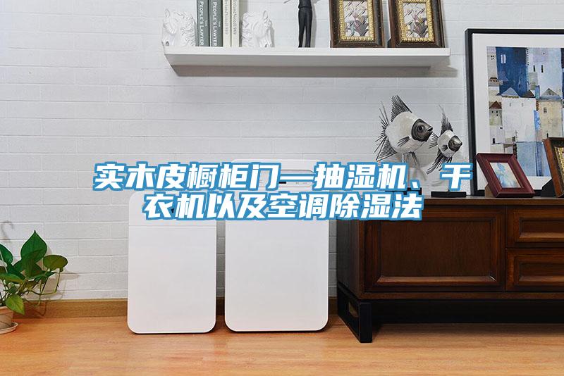 實(shí)木皮櫥柜門(mén)—抽濕機、干衣機以及空調除濕法
