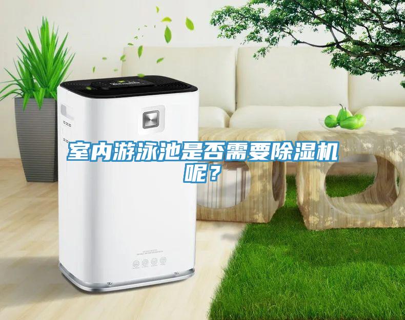 室內游泳池是否需要除濕機呢？