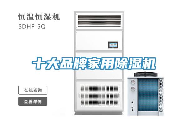 十大品牌家用除濕機