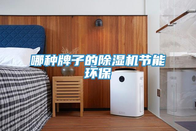 哪種牌子的除濕機節能環(huán)保