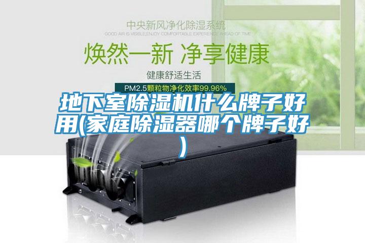 地下室除濕機什么牌子好用(家庭除濕器哪個(gè)牌子好)