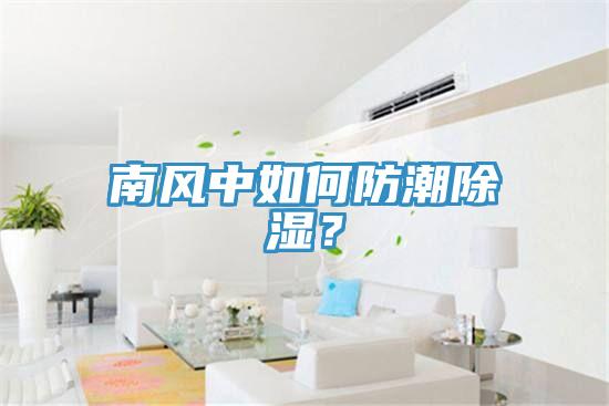 南風(fēng)中如何防潮除濕？