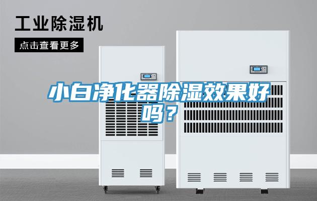 小白凈化器除濕效果好嗎？