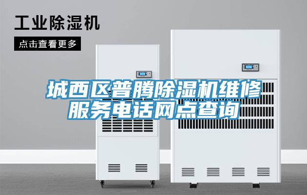 城西區普騰除濕機維修服務(wù)電話(huà)網(wǎng)點(diǎn)查詢(xún)