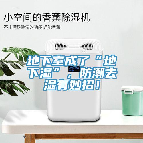 地下室成了“地下濕”，防潮去濕有妙招！