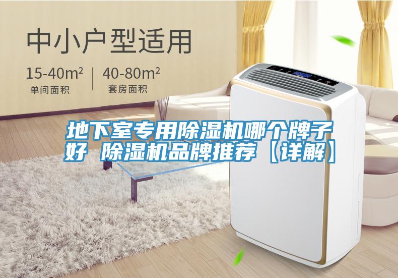 地下室專(zhuān)用除濕機哪個(gè)牌子好 除濕機品牌推薦【詳解】