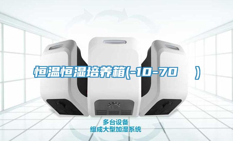 恒溫恒濕培養箱(-10-70 ℃）