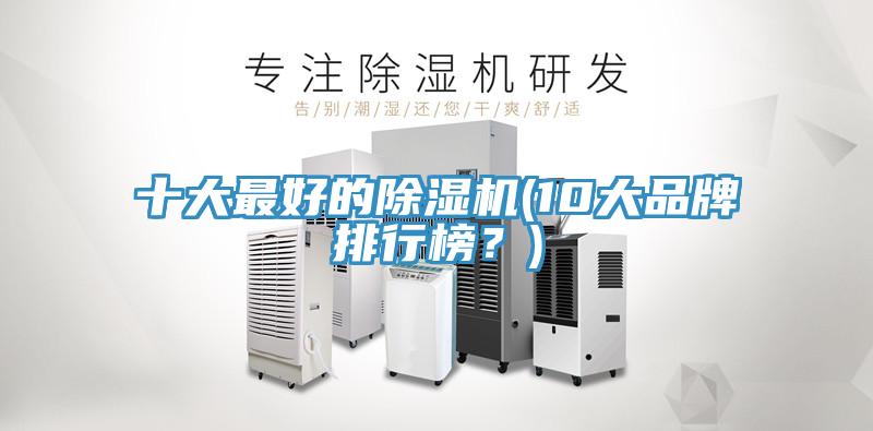十大最好的除濕機(10大品牌排行榜？)