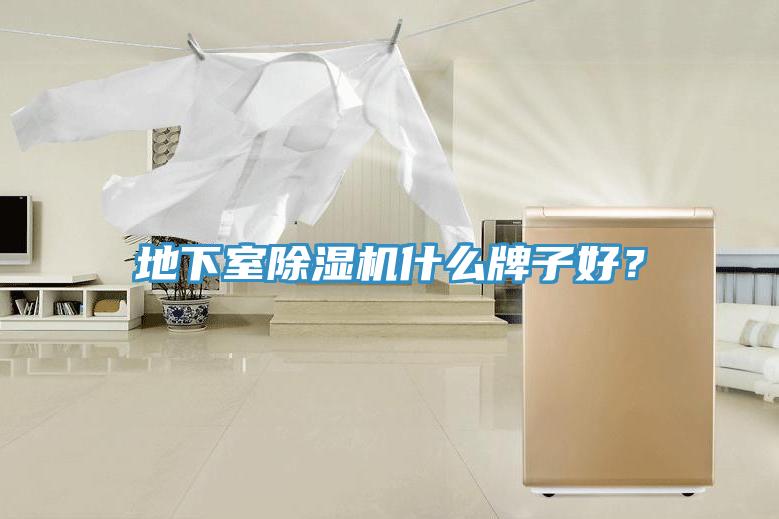 地下室除濕機什么牌子好？