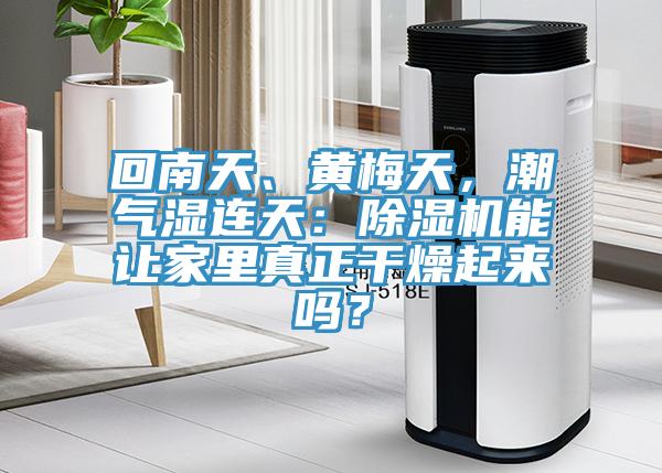 回南天、黃梅天，潮氣濕連天：除濕機能讓家里真正干燥起來(lái)嗎？