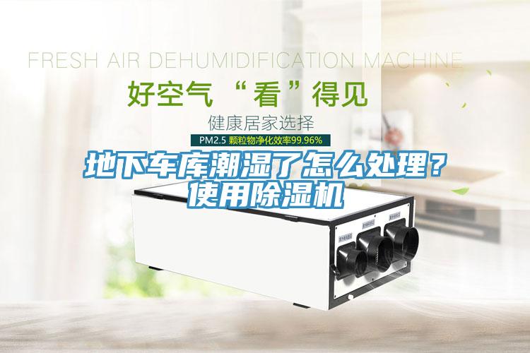地下車(chē)庫潮濕了怎么處理？使用除濕機