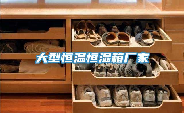 大型恒溫恒濕箱廠(chǎng)家