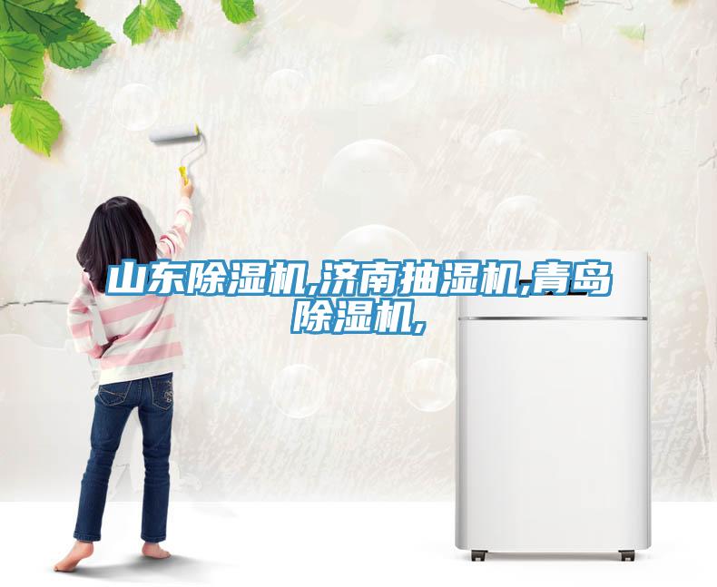 山東除濕機,濟南抽濕機,青島除濕機,
