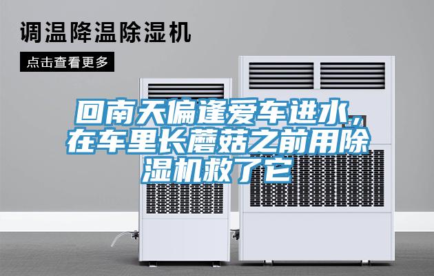 回南天偏逢愛(ài)車(chē)進(jìn)水，在車(chē)里長(cháng)蘑菇之前用除濕機救了它