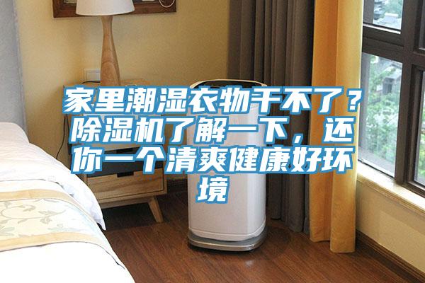 家里潮濕衣物干不了？除濕機了解一下，還你一個(gè)清爽健康好環(huán)境